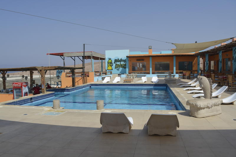Aqaba Adventure Divers Resort Poolside