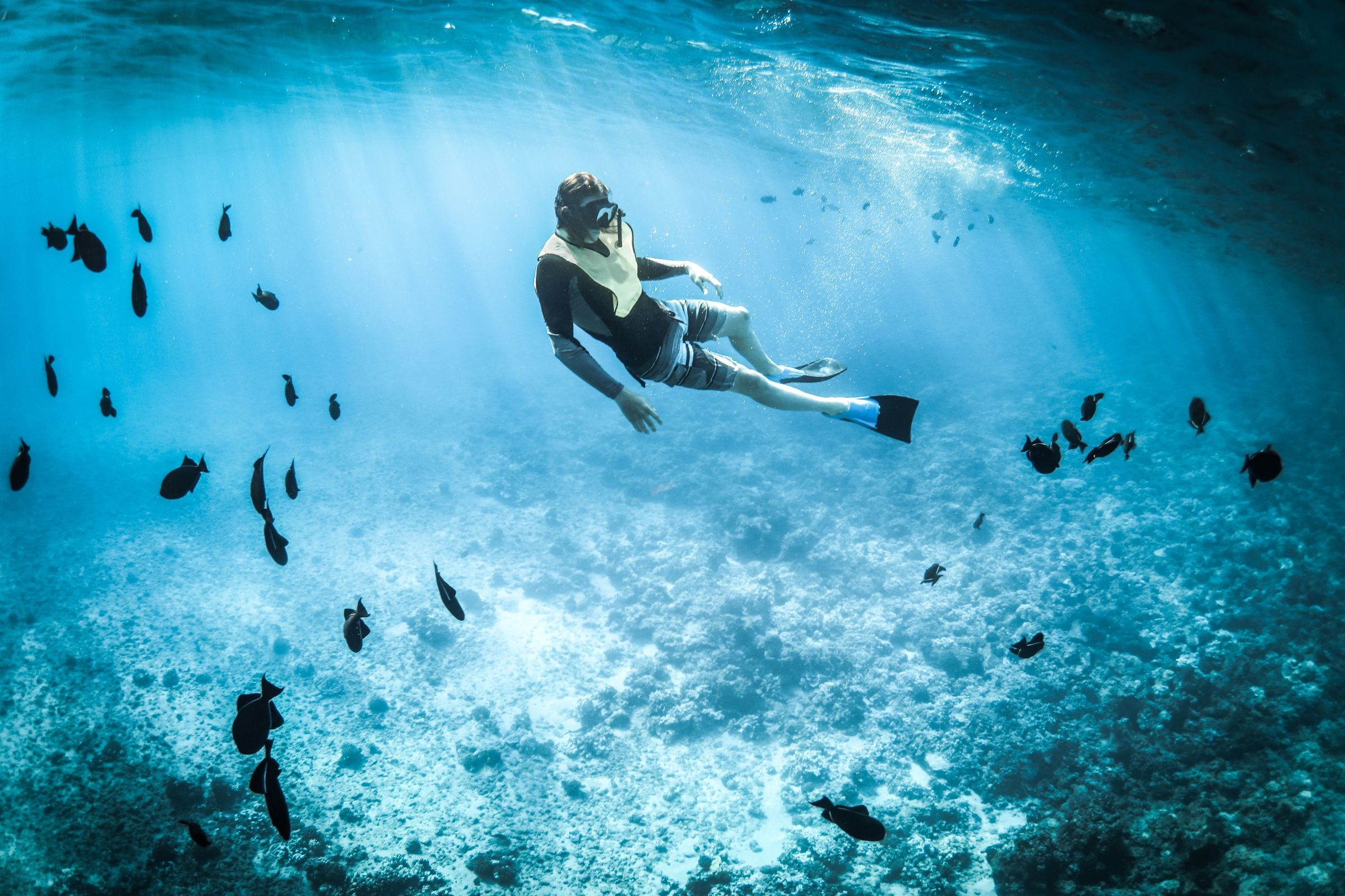 Snorkeler swimming above a coral reef in clear turquoise water.