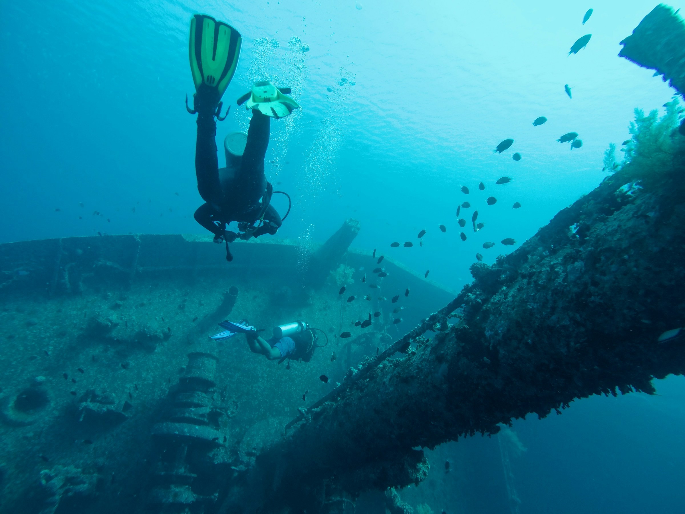Scuba diver swimming underwater in Aqaba.