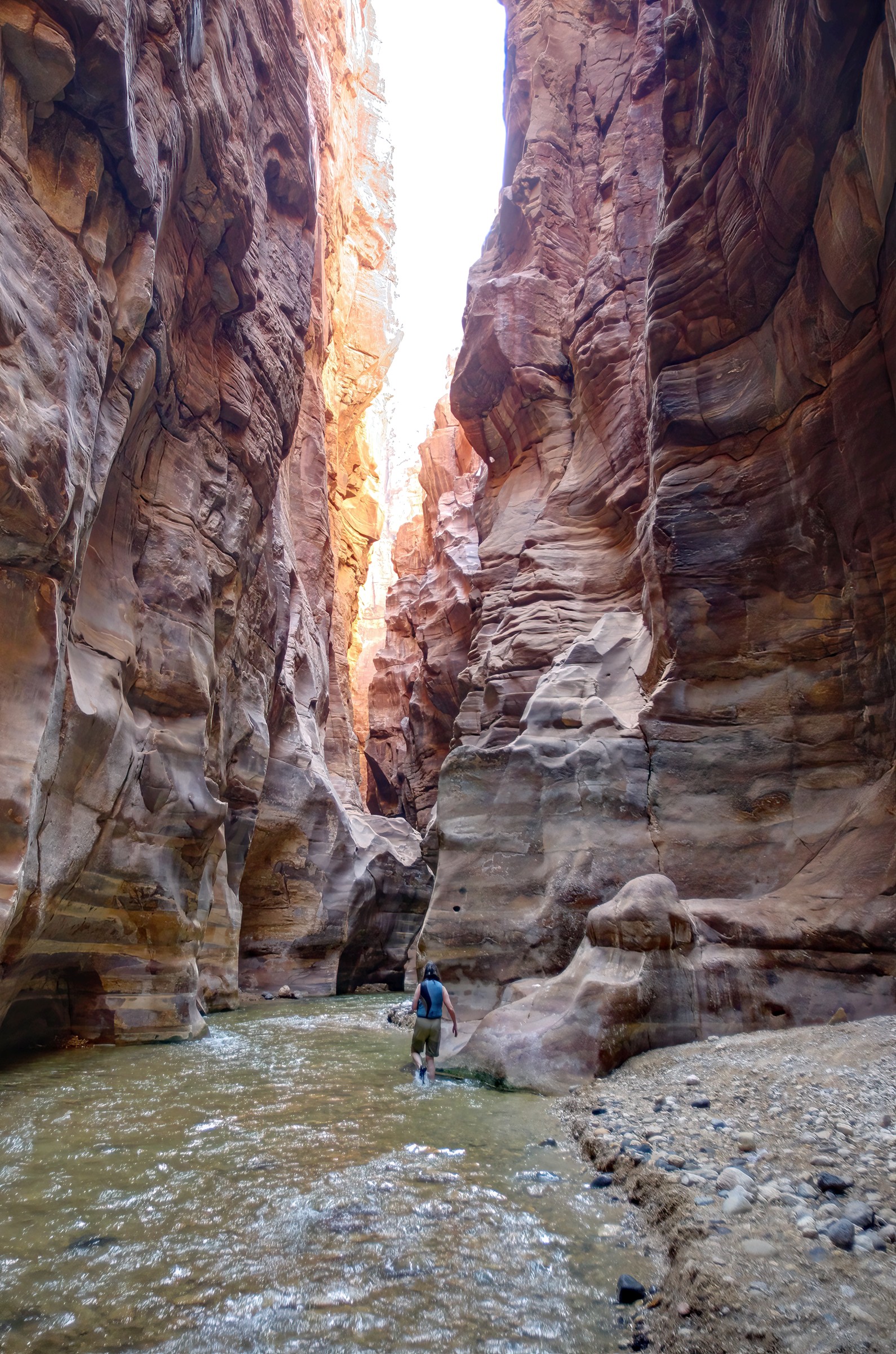 Narrow sandstone canyon along the Siq Trail in Wadi Mujib.