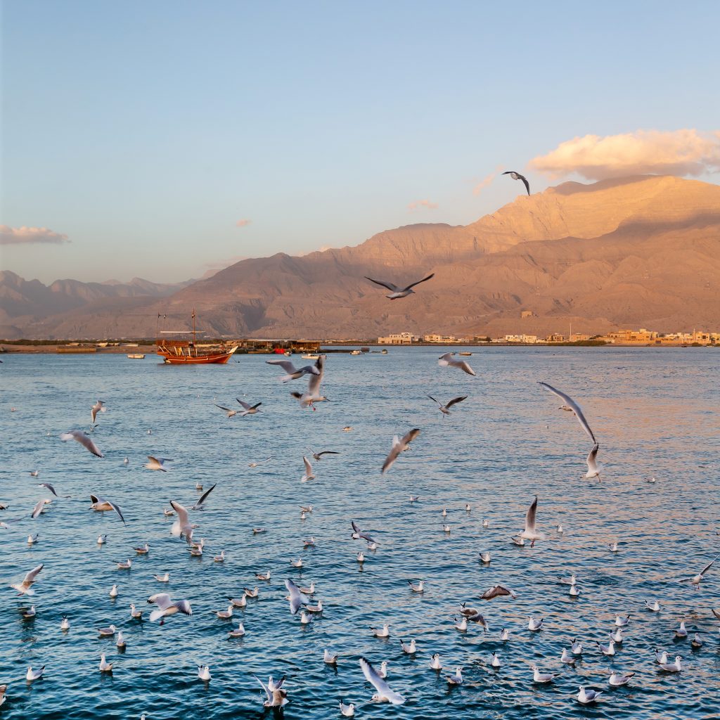 Shore Excursions