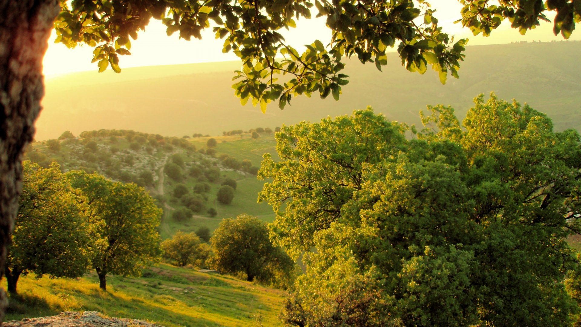 Scenic green hills and countryside of northern Jordan