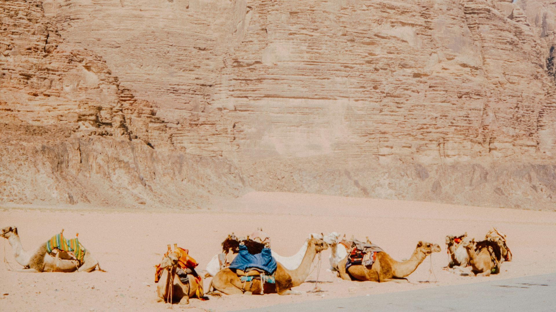 Traditional family desert experience during a Jordan tour