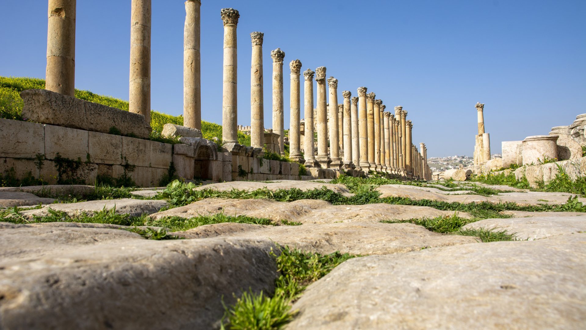 Ancient Roman colonnaded street in Jerash, Jordan, featuring a long row of historic stone columns, archaeological ruins, and greenery under a clear blue sky