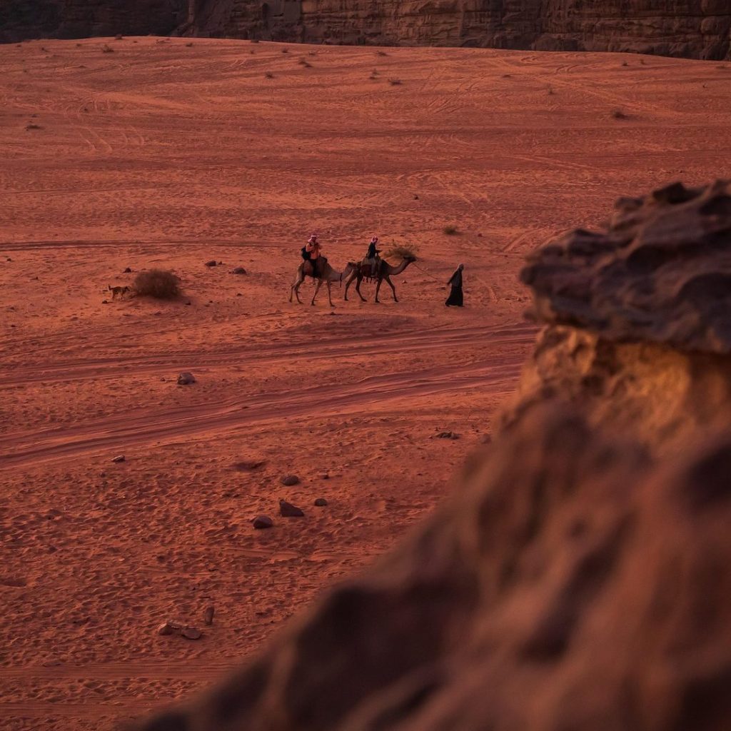 Camel caravan crossing the red desert landscape of Wadi Rum, Jordan