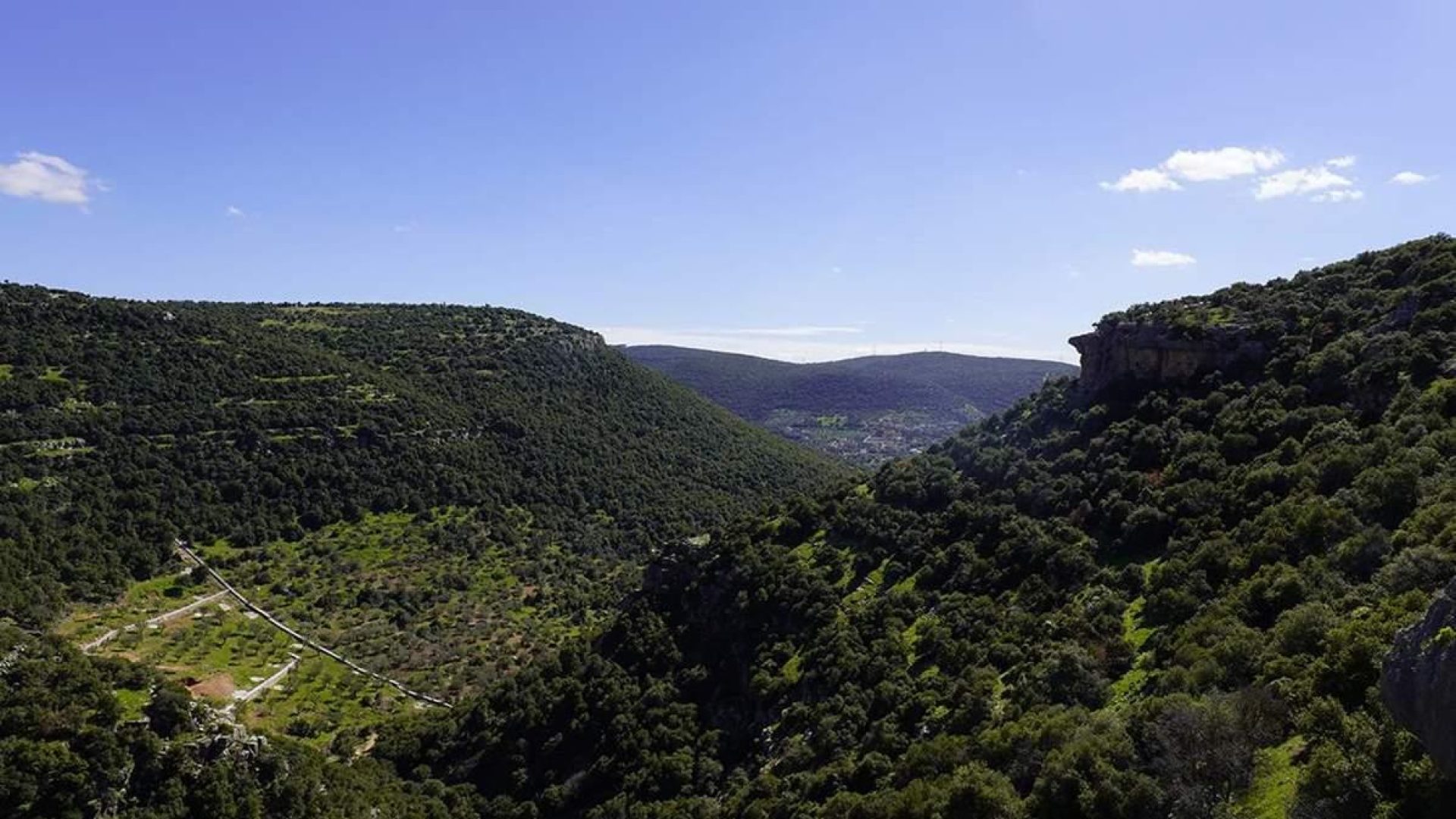 Forested mountain landscape in northern Jordan