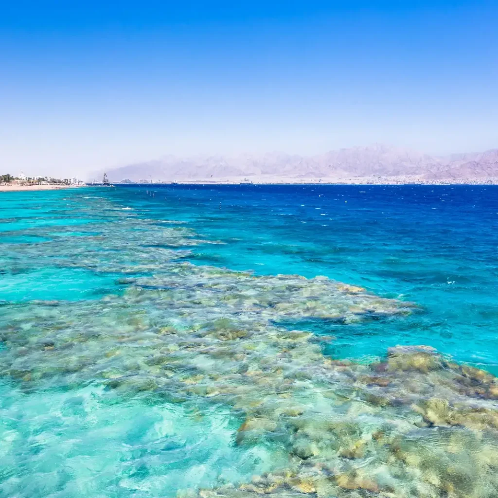 Aqaba Beach & Resort Day: Jordan’s Red Sea Riviera
