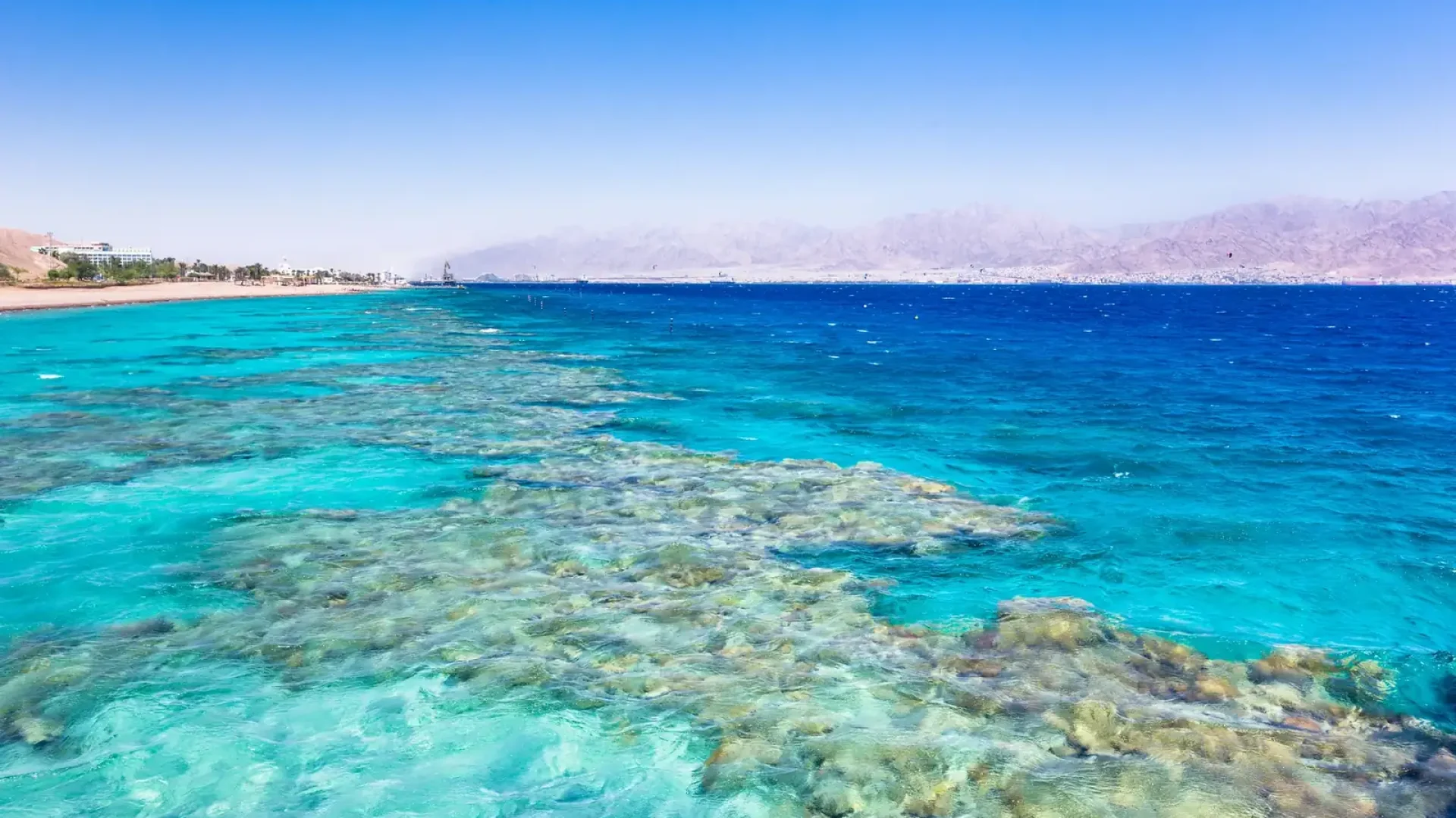 Aqaba Beach & Resort Day: Jordan’s Red Sea Riviera