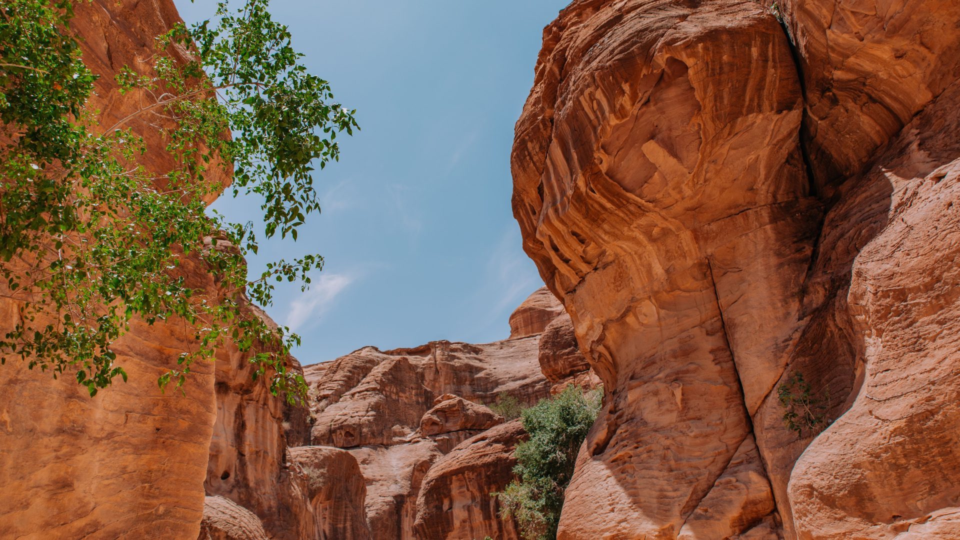 Sandstone canyon passage in Petra Jordan