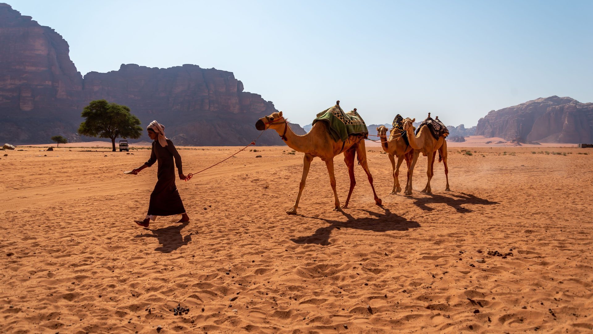 Camel caravan crossing the Wadi Rum desert in Jordan
