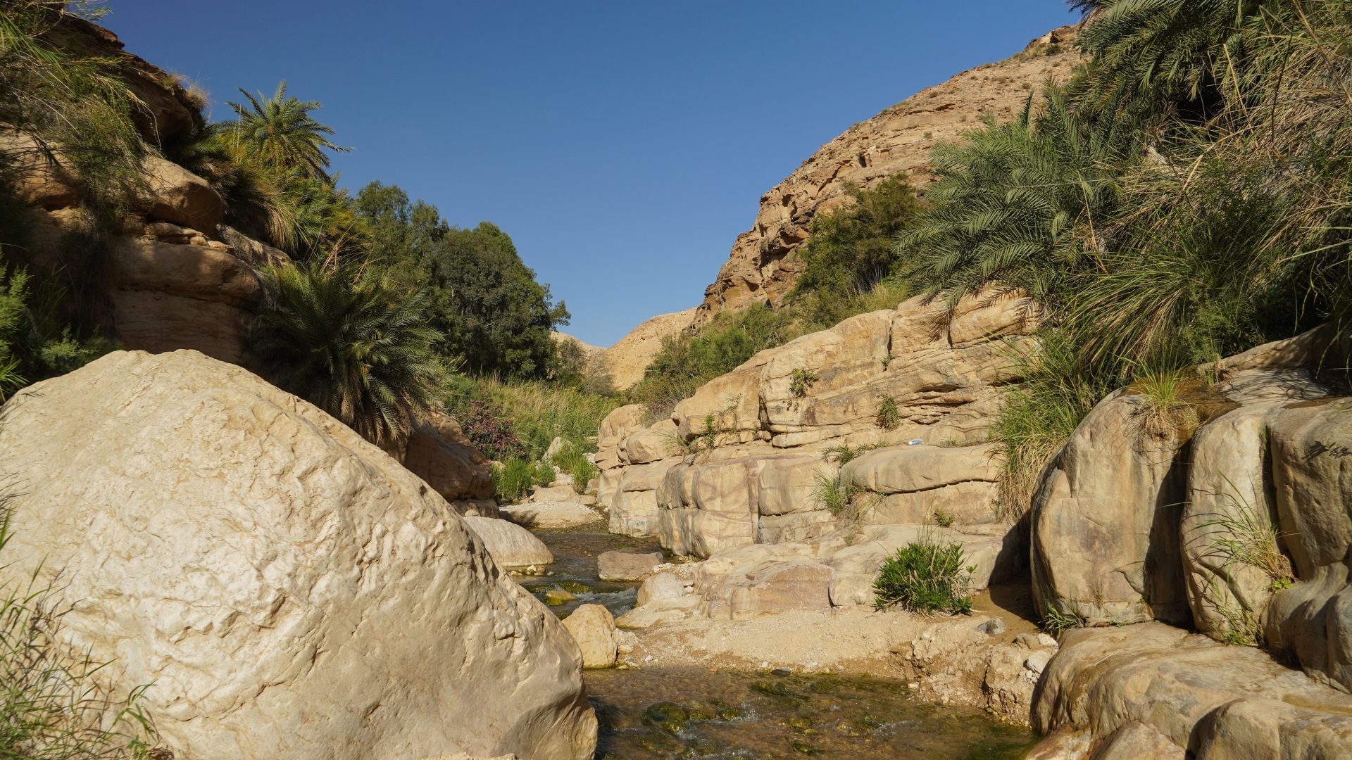 Scenic canyon hiking trail through Jordan nature reserve