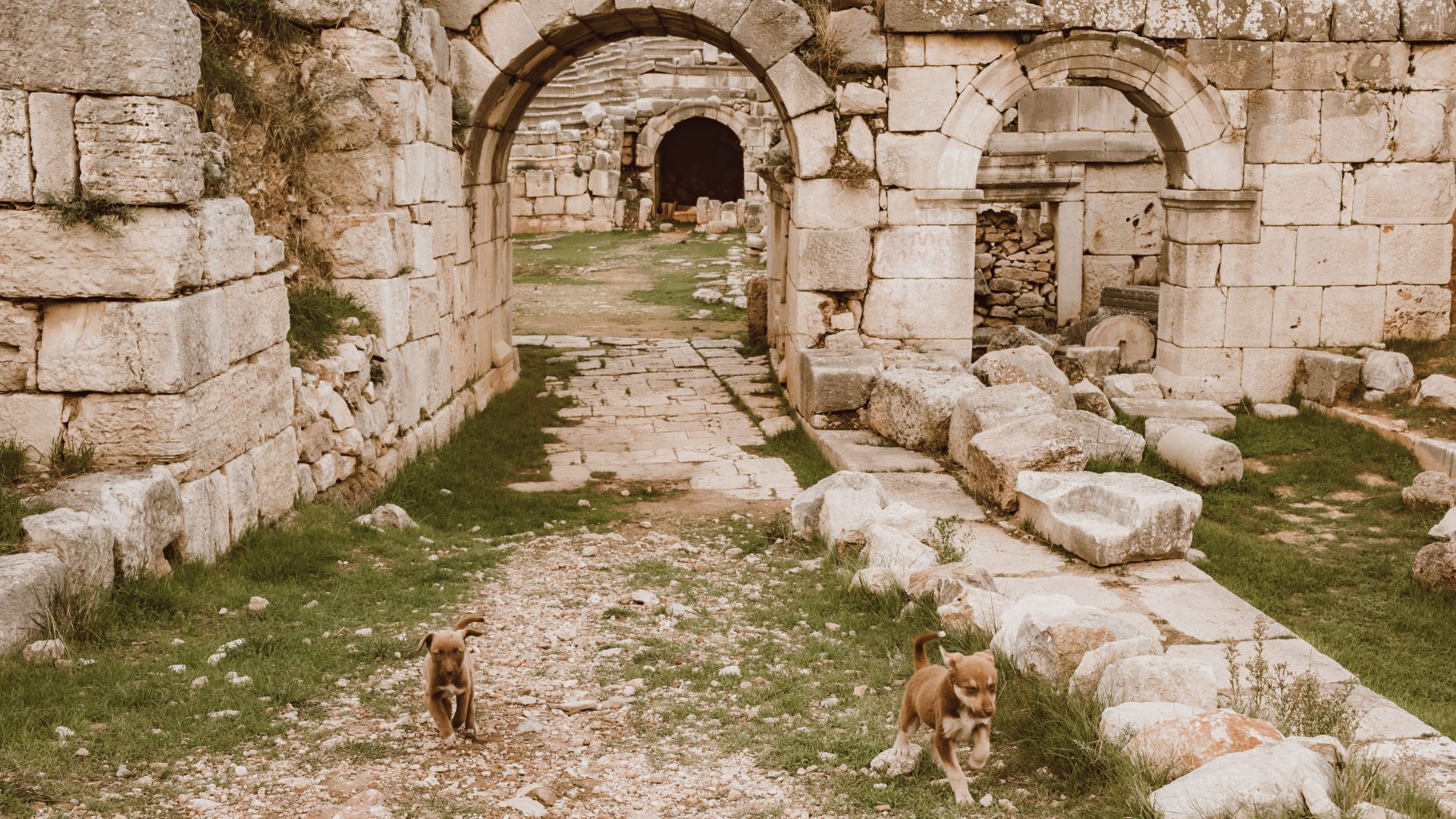 Ancient archaeological ruins and stone pathway in Jordan