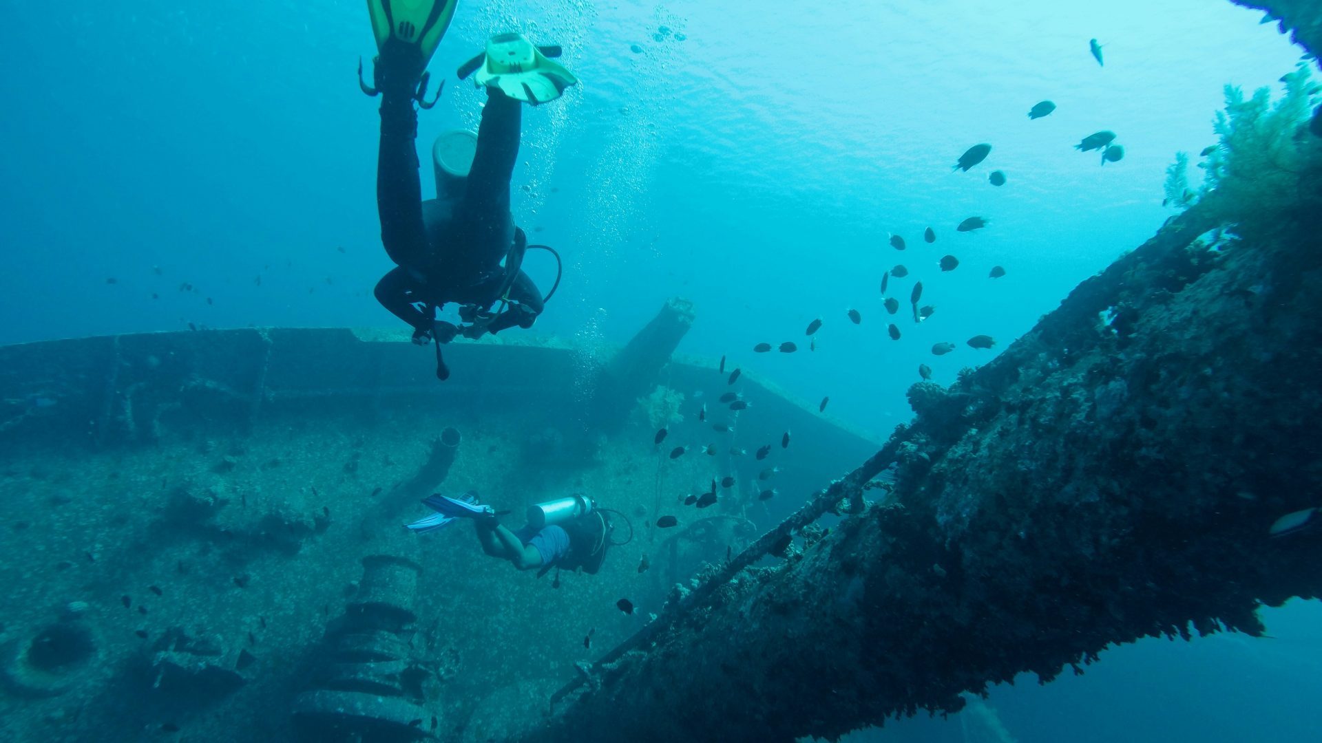 Scuba diving in the Red Sea in Aqaba, Jordan, with divers exploring an underwater shipwreck surrounded by tropical fish and clear blue water