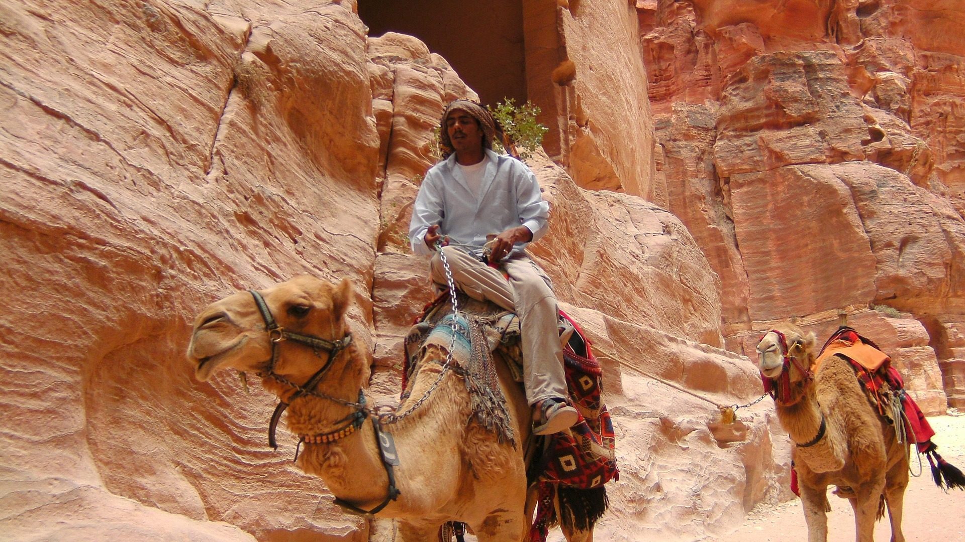 Camel ride through the ancient sandstone canyons of Petra, Jordan