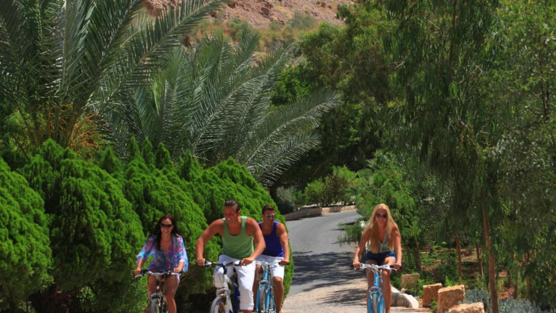 The Thermal Springs - Dead Sea