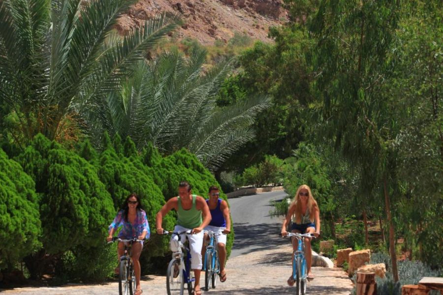 The Thermal Springs