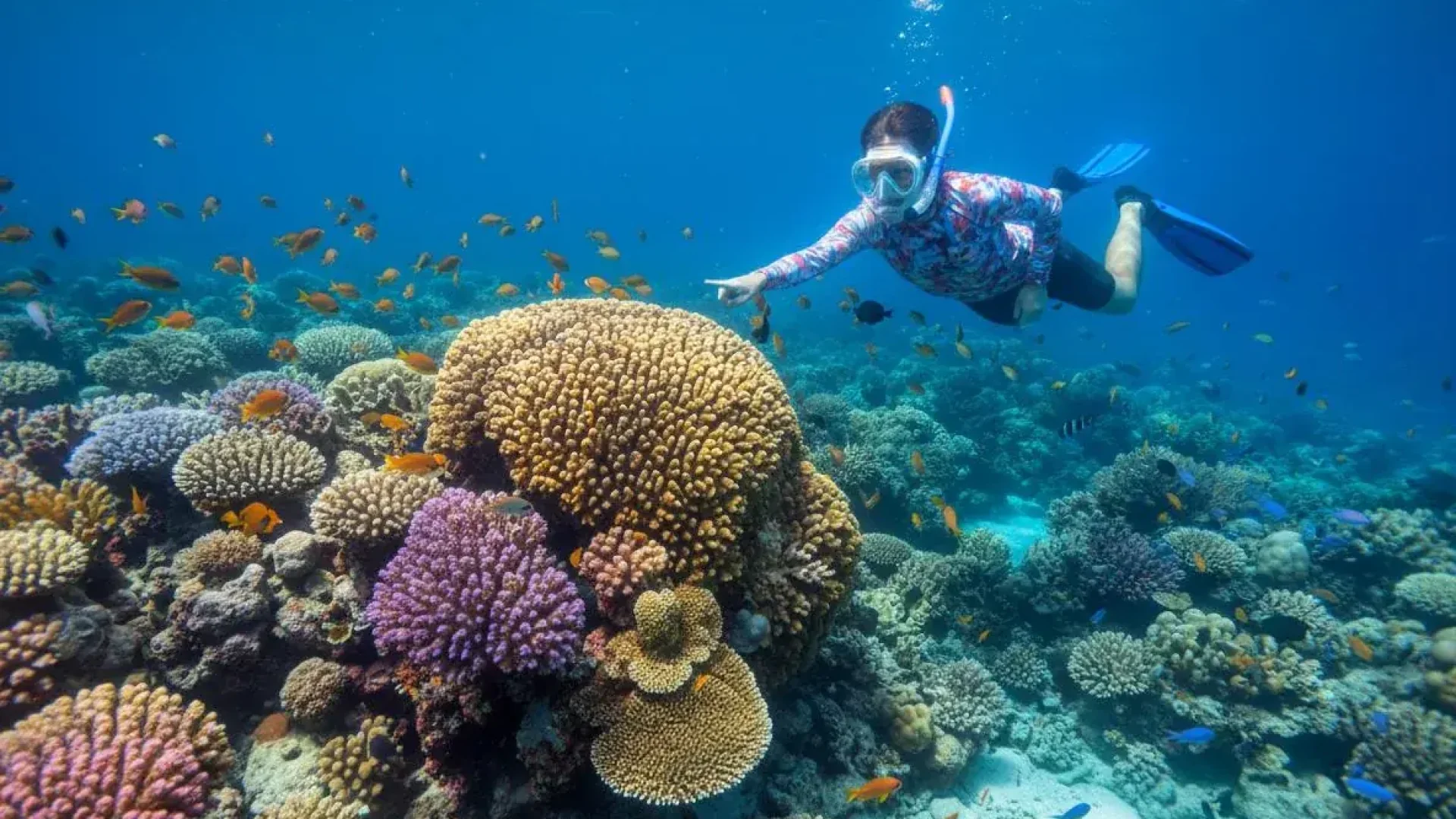 Red Sea Diving Aqaba