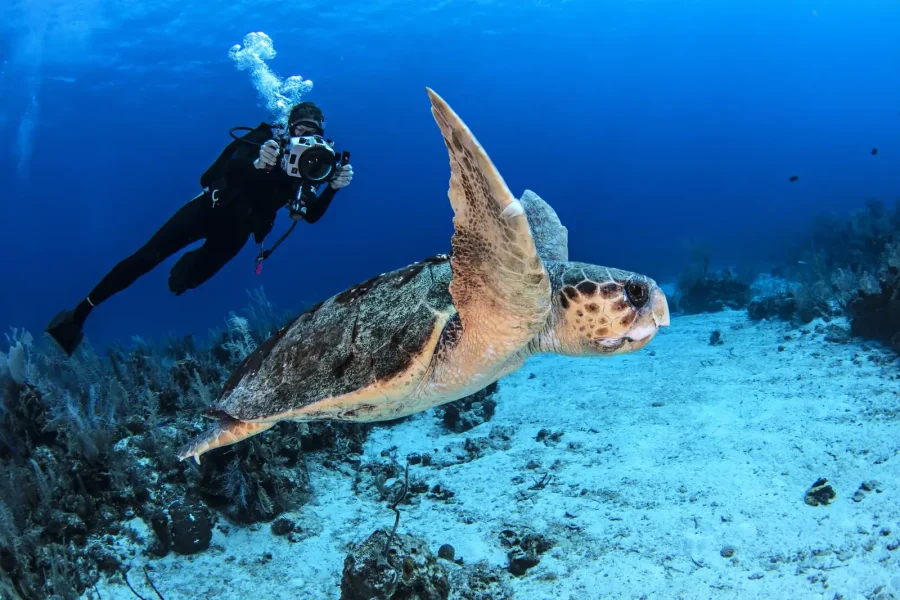 Red Sea Diving Aqaba
