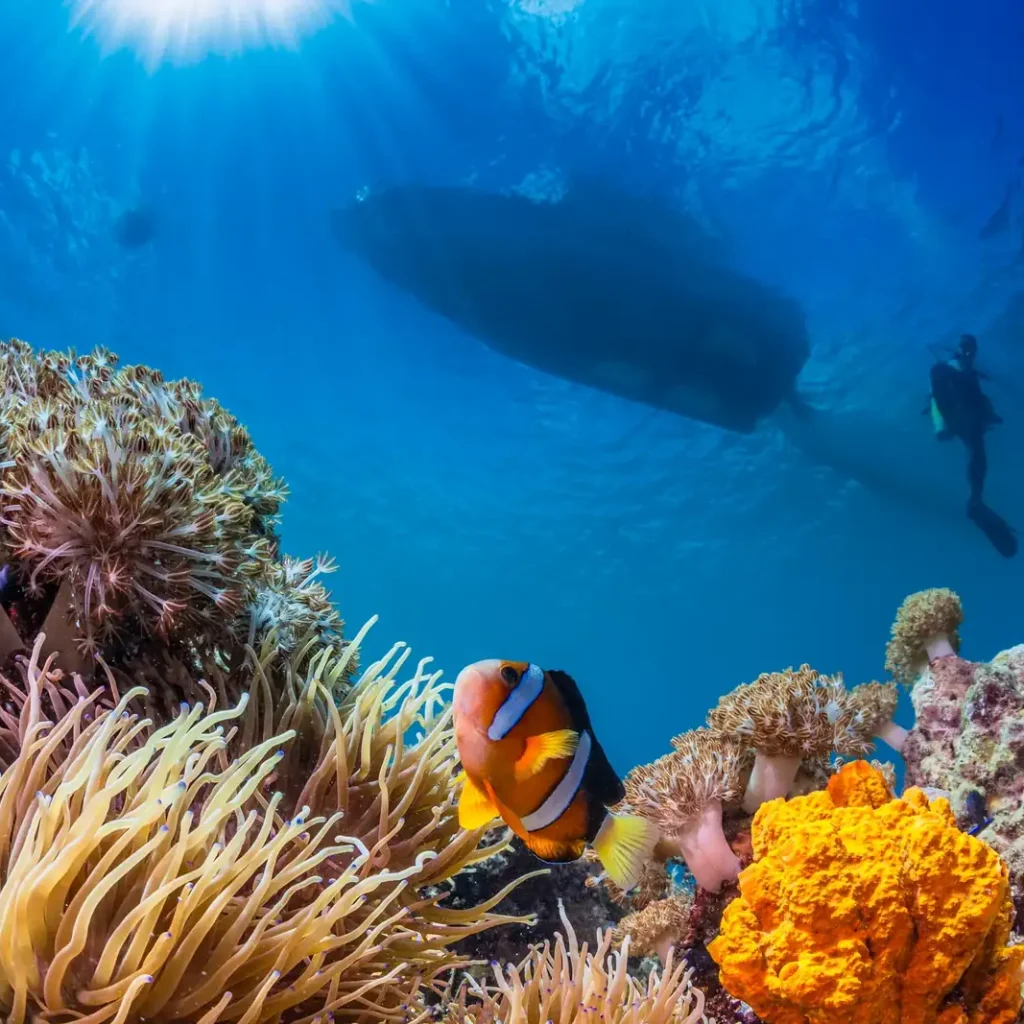 Red Sea Diving Aqaba