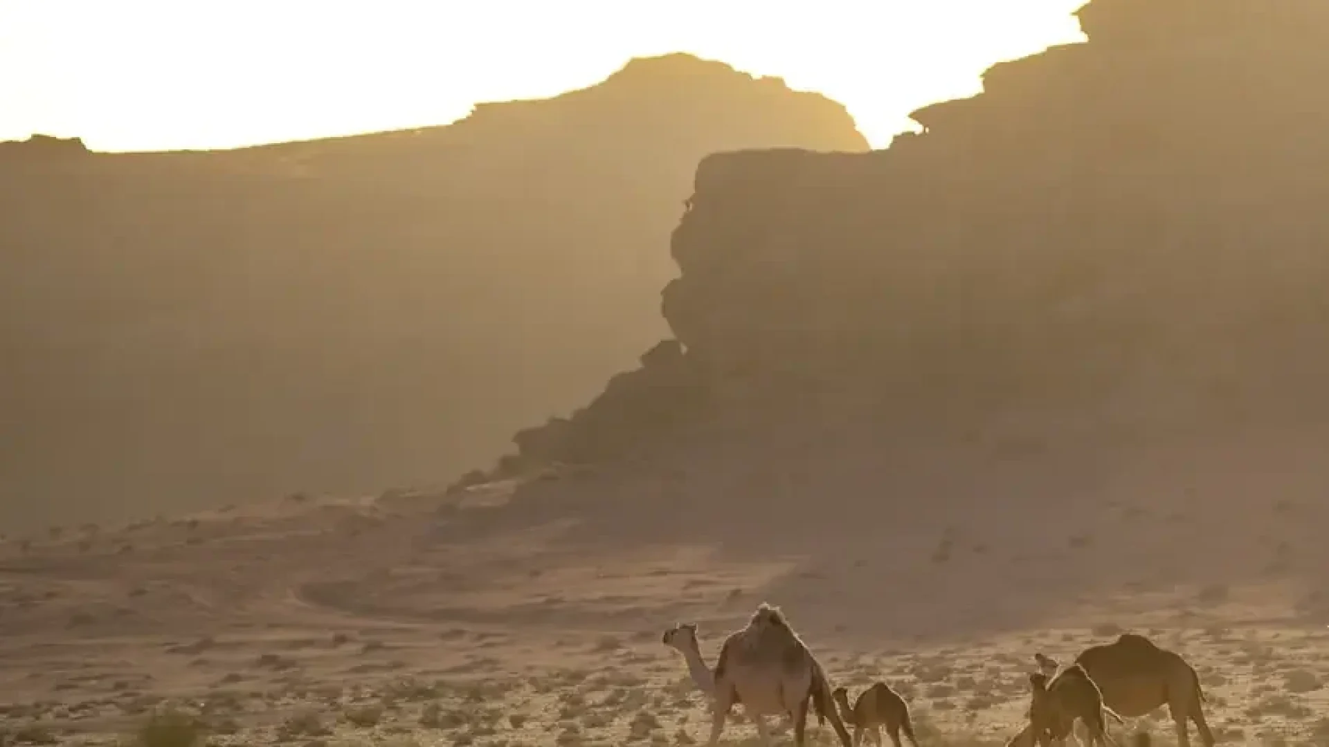Wadi Rum Luxury Desert Camp