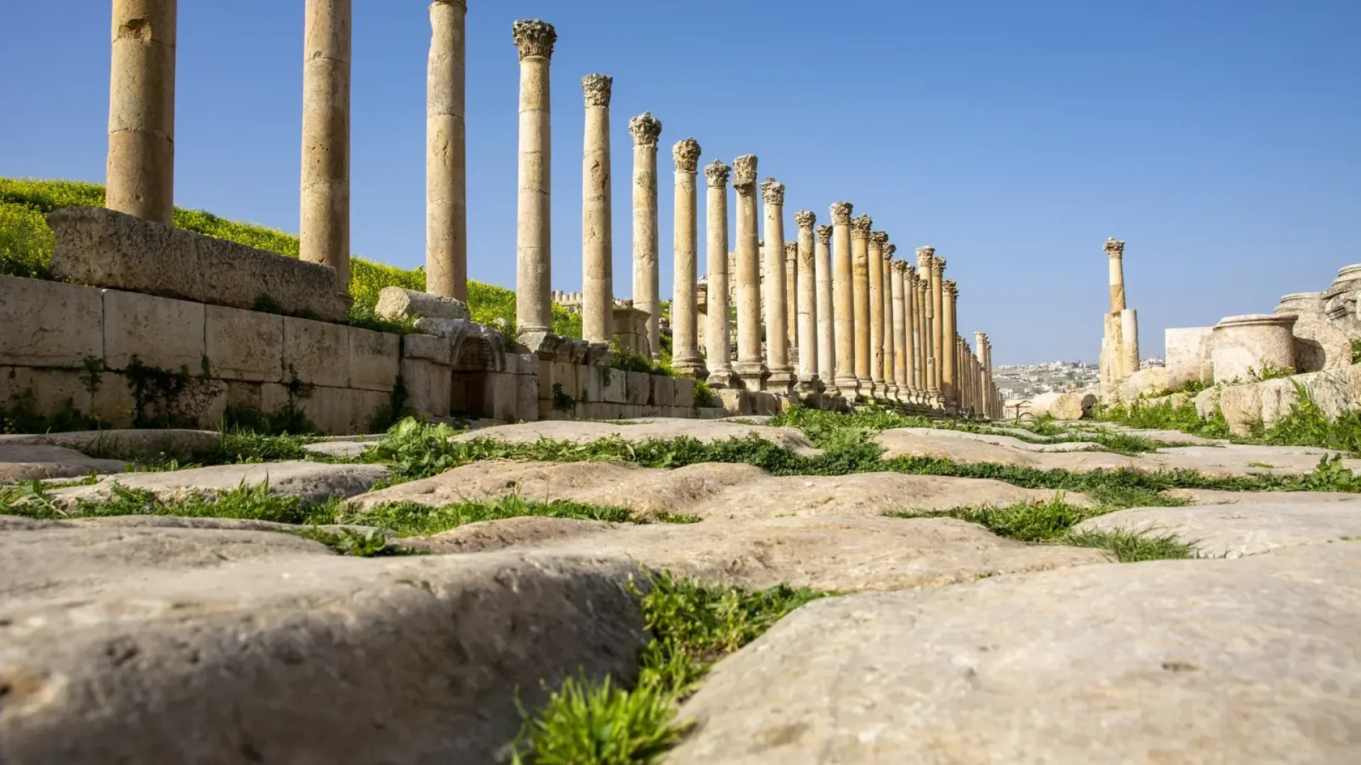 Private Jerash & Northern Jordan