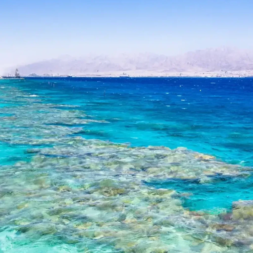 Aqaba Beach & Resort Day: Jordan’s Red Sea Riviera portrait gallery image