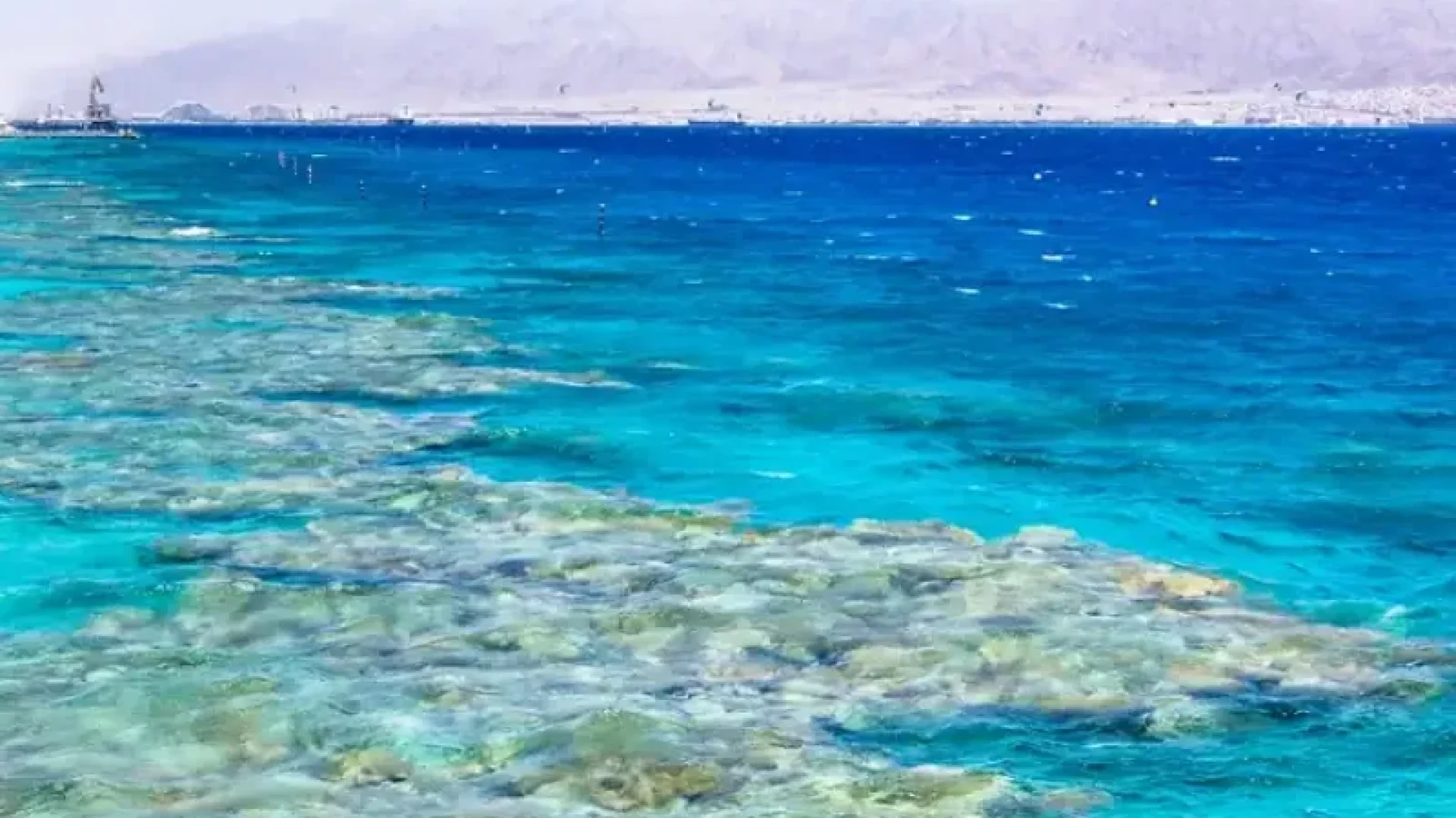 Aqaba Beach & Resort Day: Jordan’s Red Sea Riviera portrait gallery image