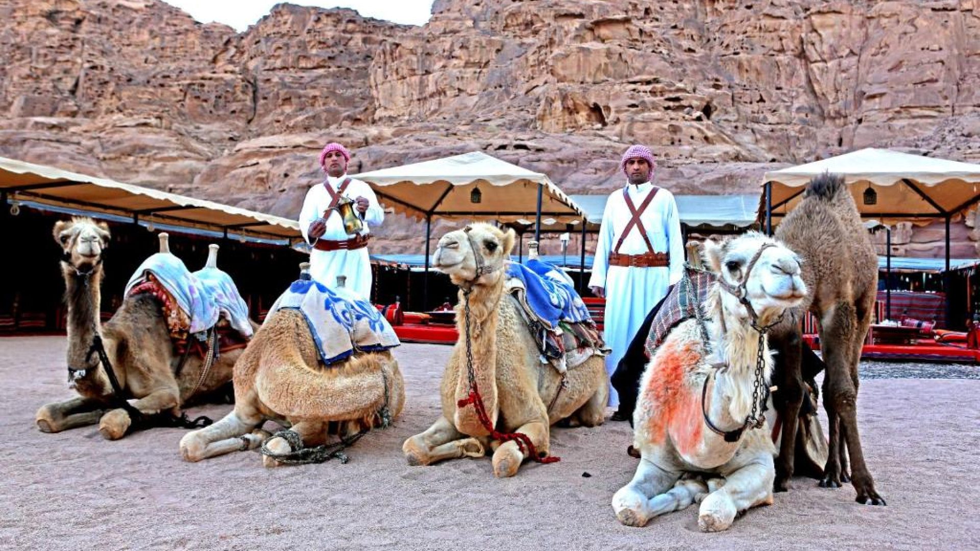The Stargazer - Wadi Rum